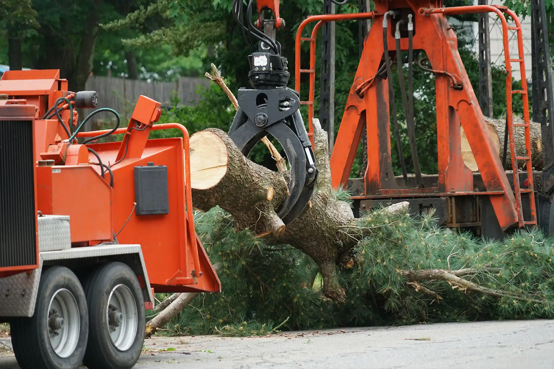 Business Staging and Storage for Tree Service Companies